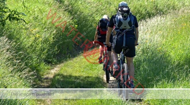 Cycling on Jungle